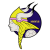 Vikings